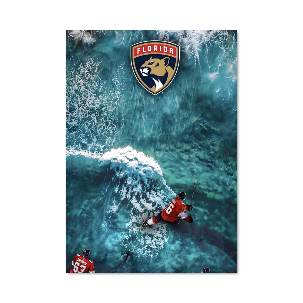 Poster Splash de Panthers